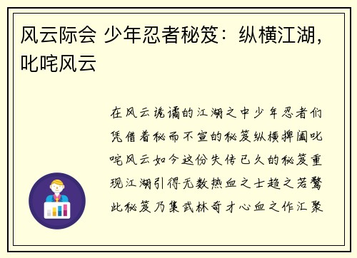 风云际会 少年忍者秘笈：纵横江湖，叱咤风云